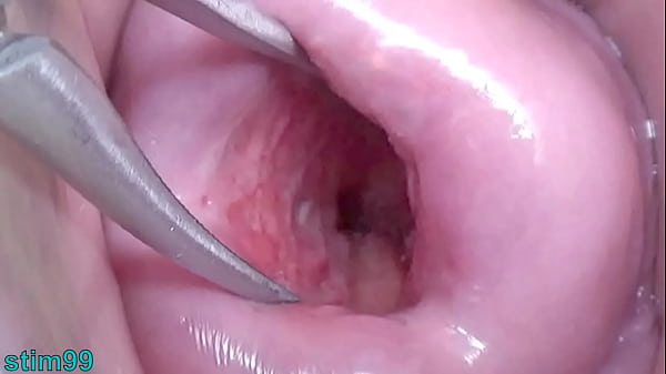 Japanese Wife in an Explicit Intimate Anatomy Scene